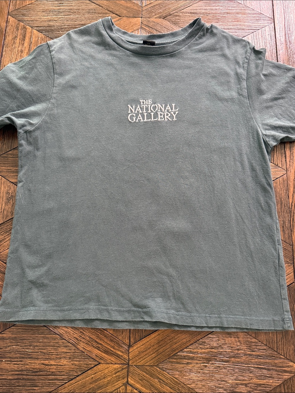Urban Outfitters Claude Monet National Gallery Graphic Tee Green Oversized M
